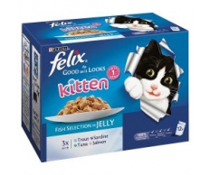 Felix Agail Kitten Fish In Jelly 12 Pack 100g x 1